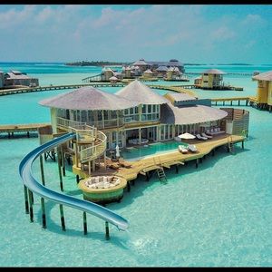 Meet your Posher, Diana